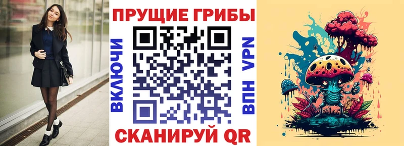 Галлюциногенные грибы Cubensis  как найти закладки  Киржач 