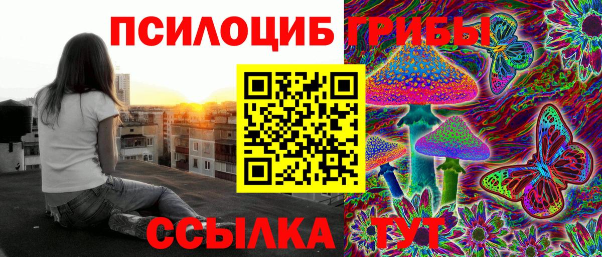 Псилоцибиновые грибы мицелий  Вход с VPN  Киржач  Псилоцибиновые грибы Magic Shrooms 