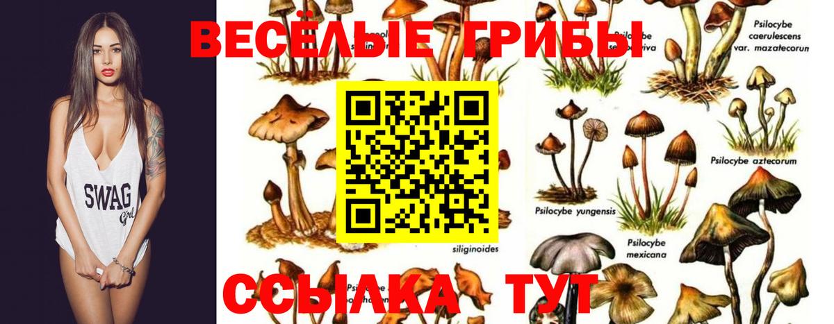 Галлюциногенные грибы прущие грибы Киржач