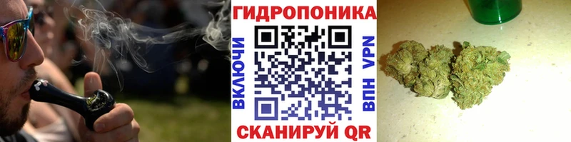 дарнет шоп  Киржач  Шишки марихуана планчик 